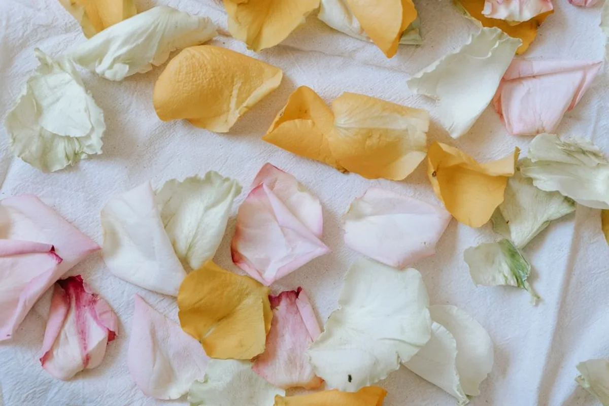 Flowers in a range of colours arranged together
