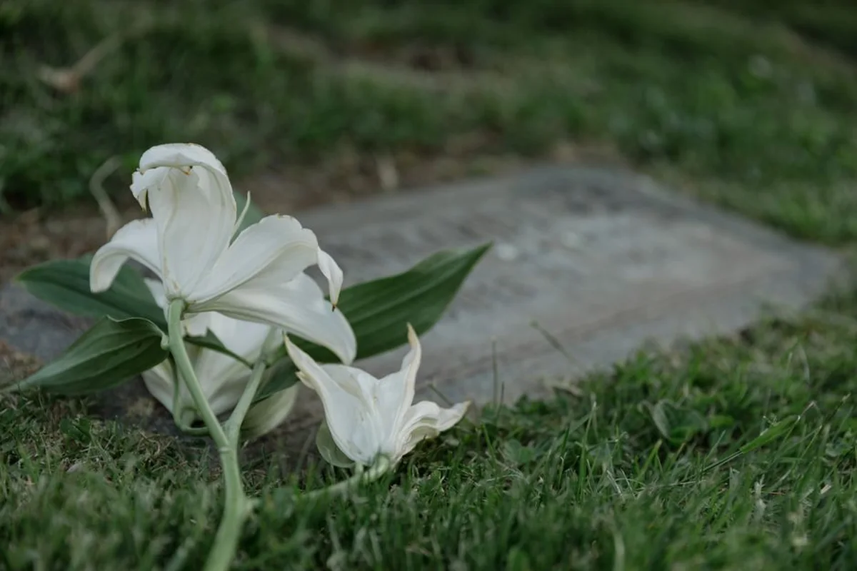 A quiet arrangement of white sympathy flowers